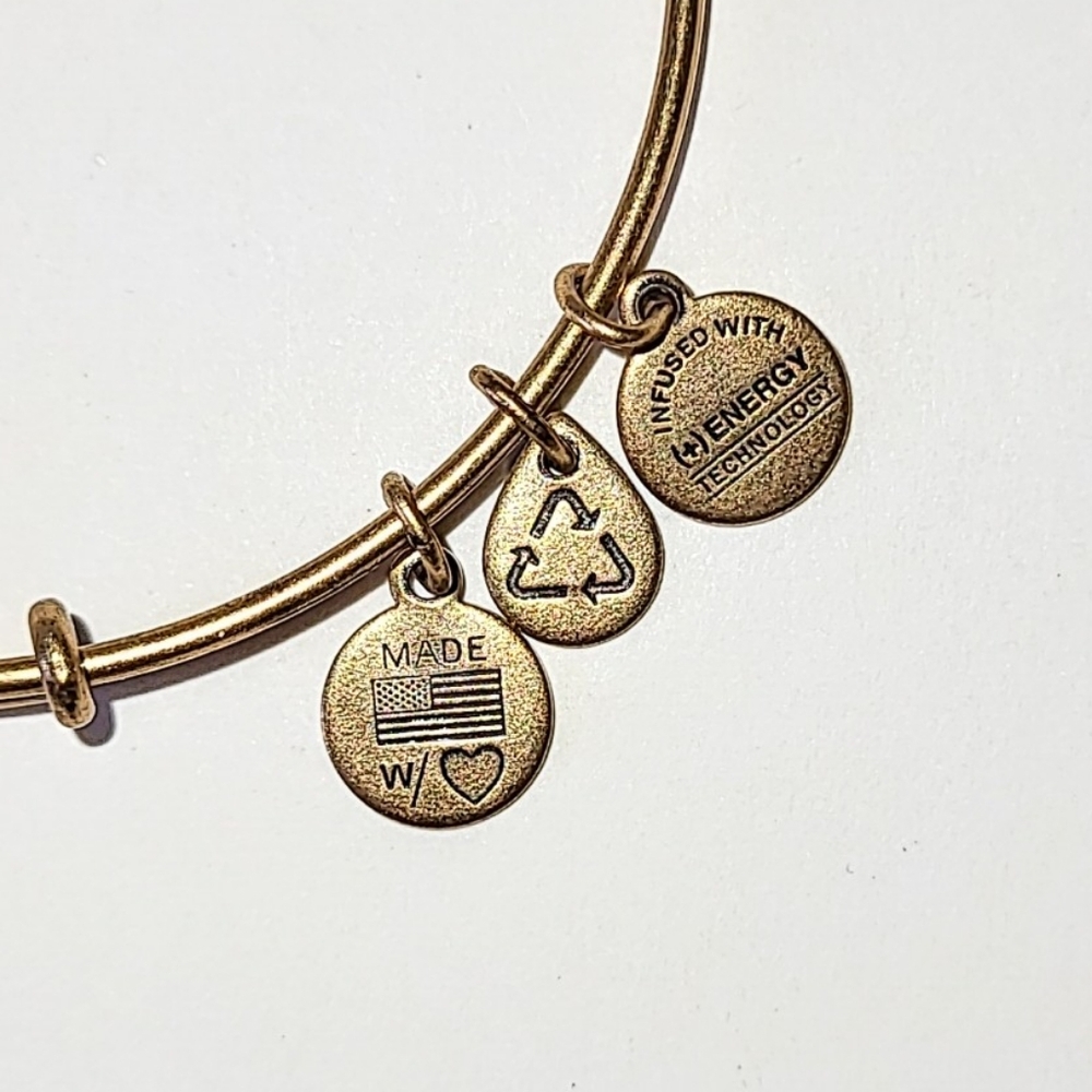 ALEX AND ANI NYC BIG APPLE CHARM BANGLE BRACELET - NEW YORK CITY - Picture 2 of 6